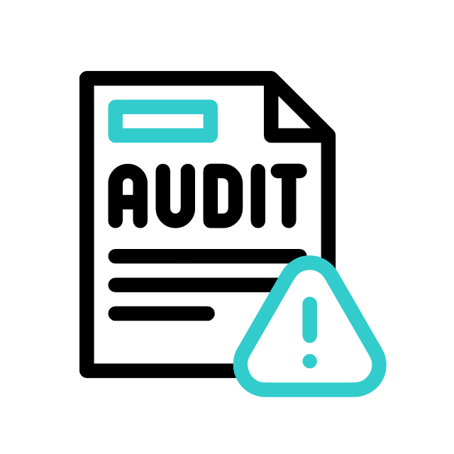 Public Sector & Government Audits